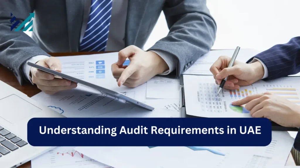 audit requirements in uae