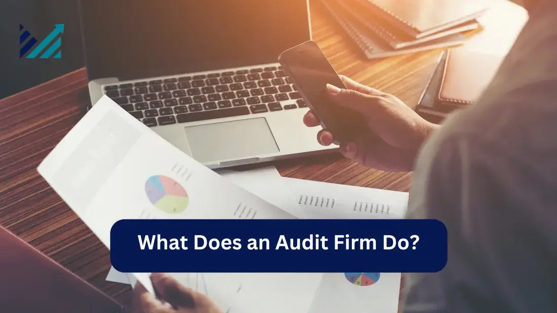 what does an audit firm do