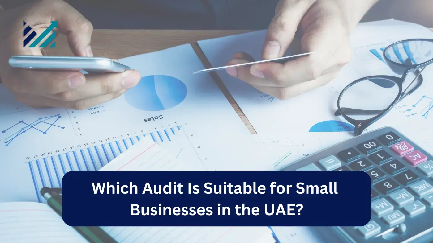 Which Audit Is Suitable for Small Businesses