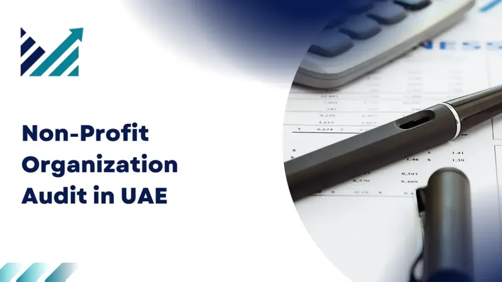 Non-Profit Organization Audit in UAE