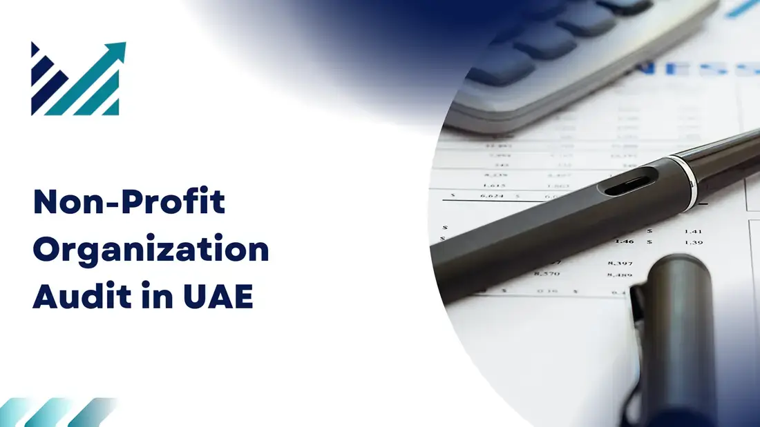 Non-Profit Organization Audit in UAE