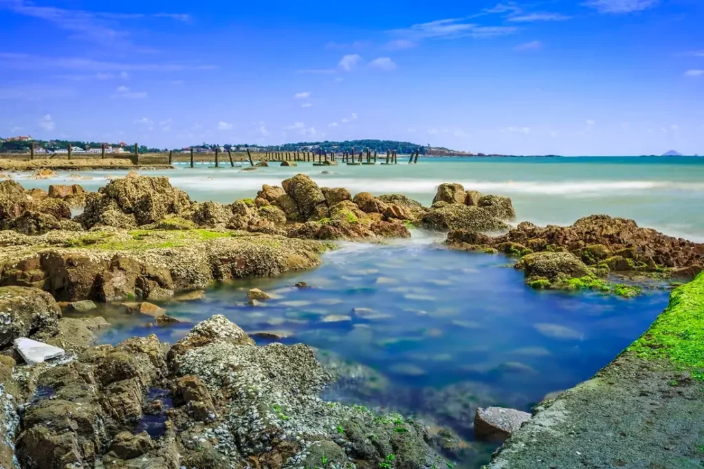 Audit Firm in Salalah